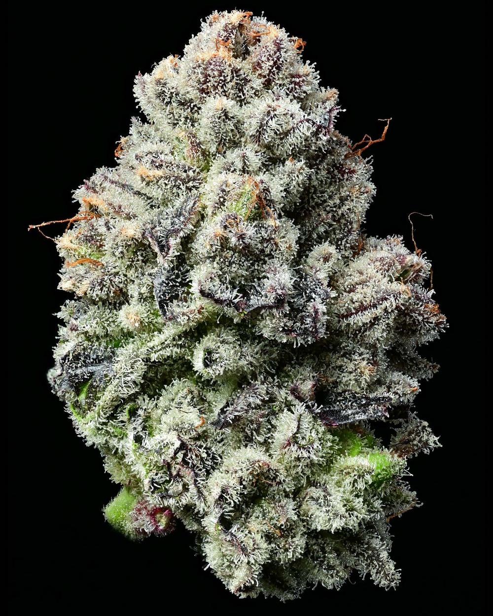 lemon_cherry_gelato.jpg
